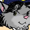 testcat samp