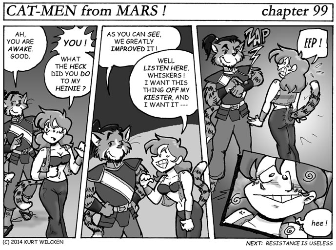 CAT-MEN from MARS:  Chapter 99 — Decorative and Functional